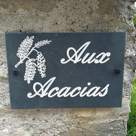 Villa Aux Acacias Braye-sous-Faye Esterno foto