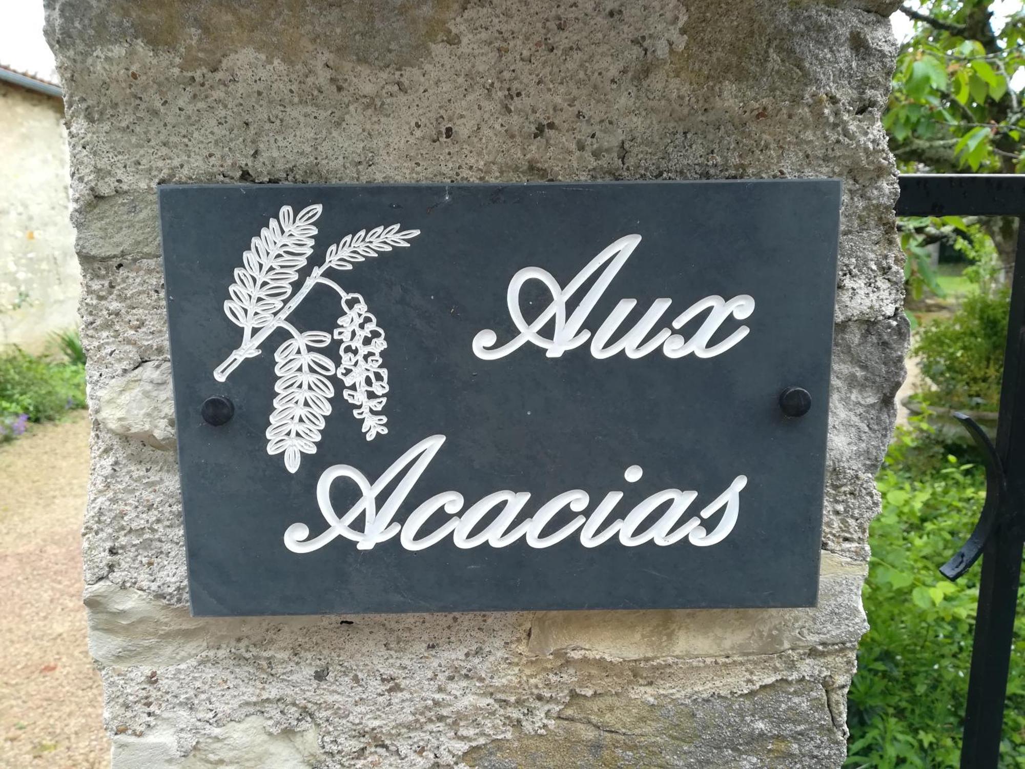 Villa Aux Acacias Braye-sous-Faye Esterno foto